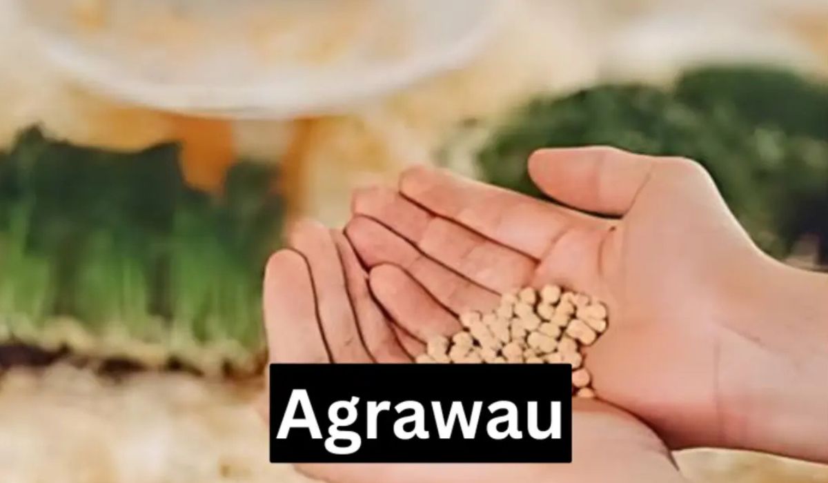 Agrawau